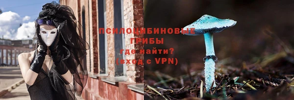 гашик Абаза