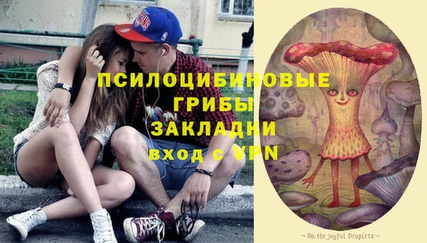 гашик Абаза