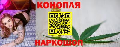 крисы Обнинск