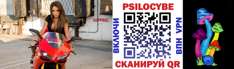 Псилоцибиновые грибы прущие грибы  Сургут 
