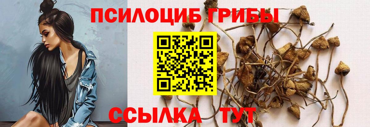 Галлюциногенные грибы GOLDEN TEACHER  Галлюциногенные грибы Cubensis  Вход с VPN  Сургут 