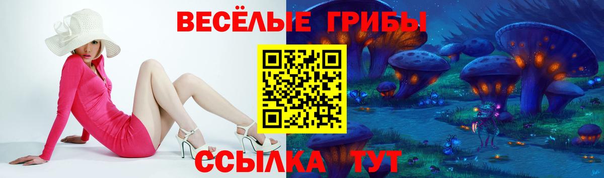 Галлюциногенные грибы Psilocybine cubensis Сургут